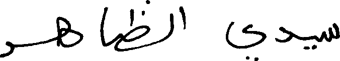 Handwritten Arabic name sample, demonstrating the handwriting recognition the studio works with